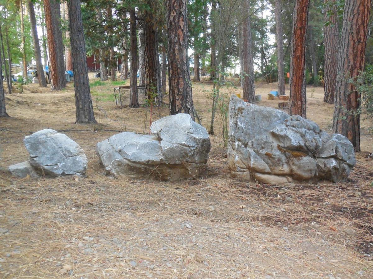Yosemite Paradise Inn Coulterville Exterior foto